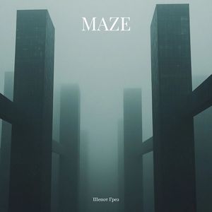 Maze