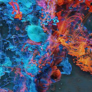 The Wissy Way Is From The Ranboo 6765 from ABC News here's youur news wary