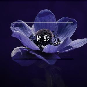 夏风静悄悄地吹