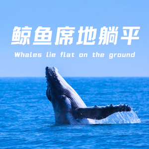 鲸鱼席地躺平