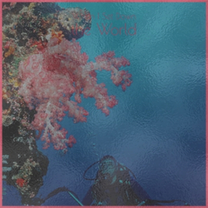 When I Set Down the World