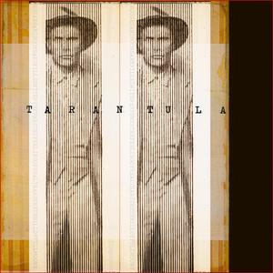 Tarantula