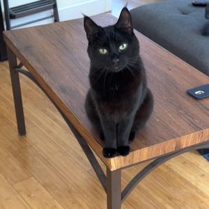 Feel free to live your life without me, but you're wrong