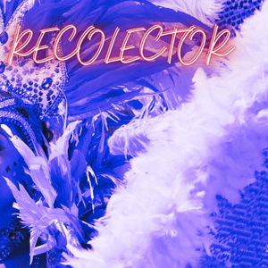 Recolector