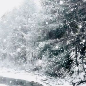 [Free] " 残雪 "