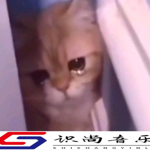 思念到伤心极致