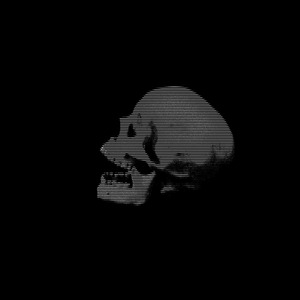 versatile -- dark triad