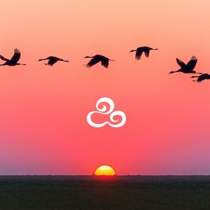 月光下的沙（钢琴曲）