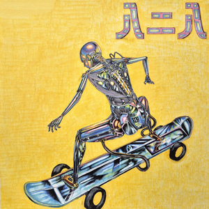 Skating Board