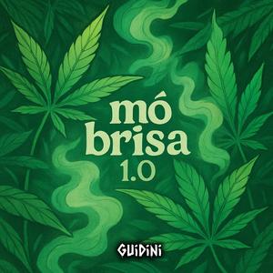 MEGA FUNK MÓ BRISA 1.0