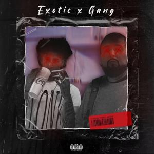 Drop It (feat. Gang)