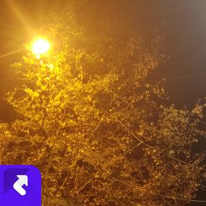 相思赋（女声版）