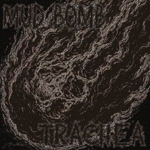 Mud Bomb