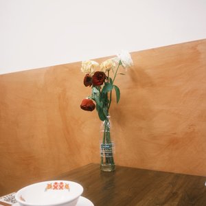 我不能说 『吉他弹唱』（Cover贰佰）