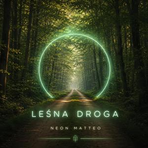 Lesna droga