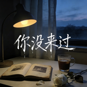 《你没来过》