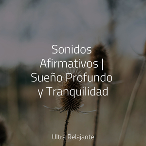 Dulces Interrogantes