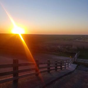 Cathartic (Clearing My Mind)