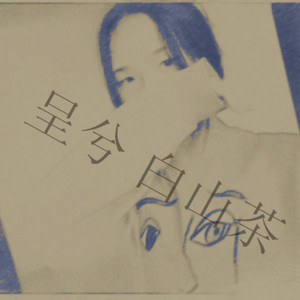 呈兮 - 白山茶（翻自 陈雪凝）