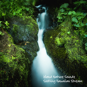 Soothing Hawaiian Stream