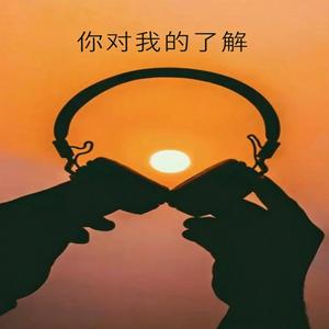 你对我的了解 DDJ 抖音版