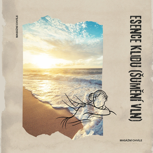 Ájurvédské léčení