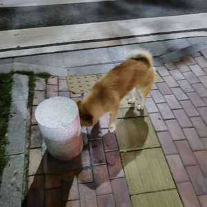 不太明白（prod by BooMeRang）