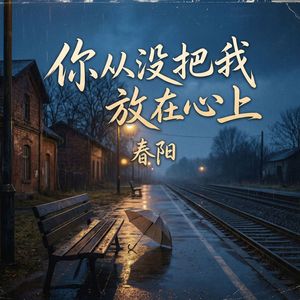 你从没把我放在心上_伴奏