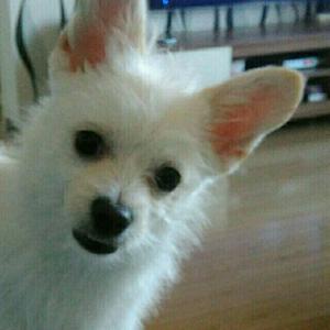 爱与被爱.wav2222