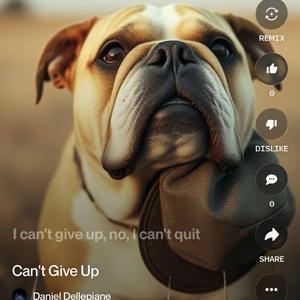 Can't Give Up