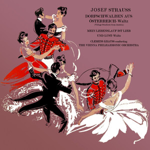 Dorfschwalben aus Österreich Waltz