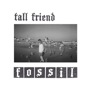 fossil