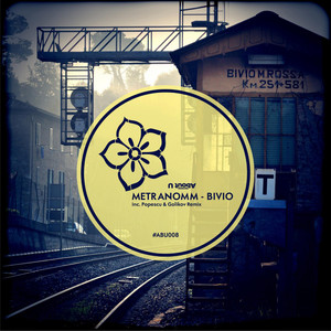 Bivio (Golikov & Popescu Remix)