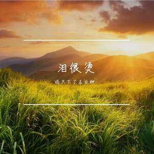 泪很烫