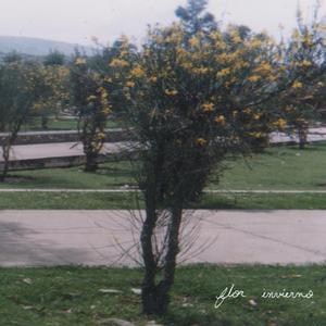 Aún Sin Colores Yo Te Puedo Ver