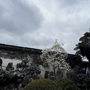 “那一刻的心动”