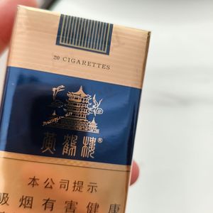 没能陪你走过冬天