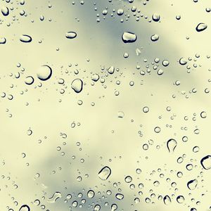 抚慰的专注回忆