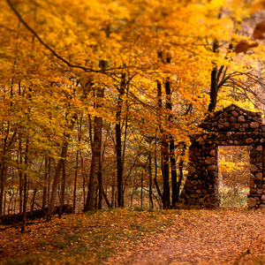 片片枫叶红 (埙+扬琴)
