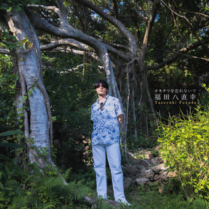 フリージアの花