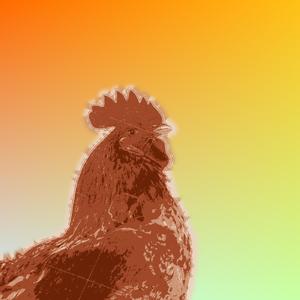 Some Weird Ramps Near a Body of Water Where You Can't See Shiy