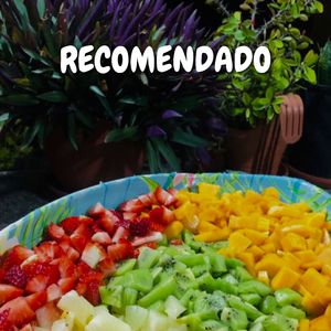 Recomendado