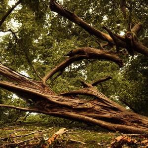 4 the doubting believer (feat. Stop) (BRKN Version)