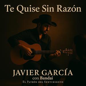 Te Quise Sin Razón