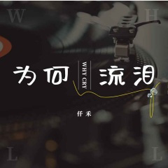 为何流泪 (男声版)