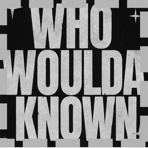 Who Woulda Known ( Instrumental )