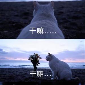 《夏の遺言》