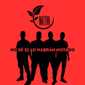 No sé si lo habrán notado