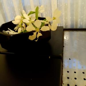 We need beer! Wir brauchen Bier!