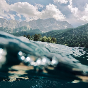 Dream of Coral - 珊瑚的梦